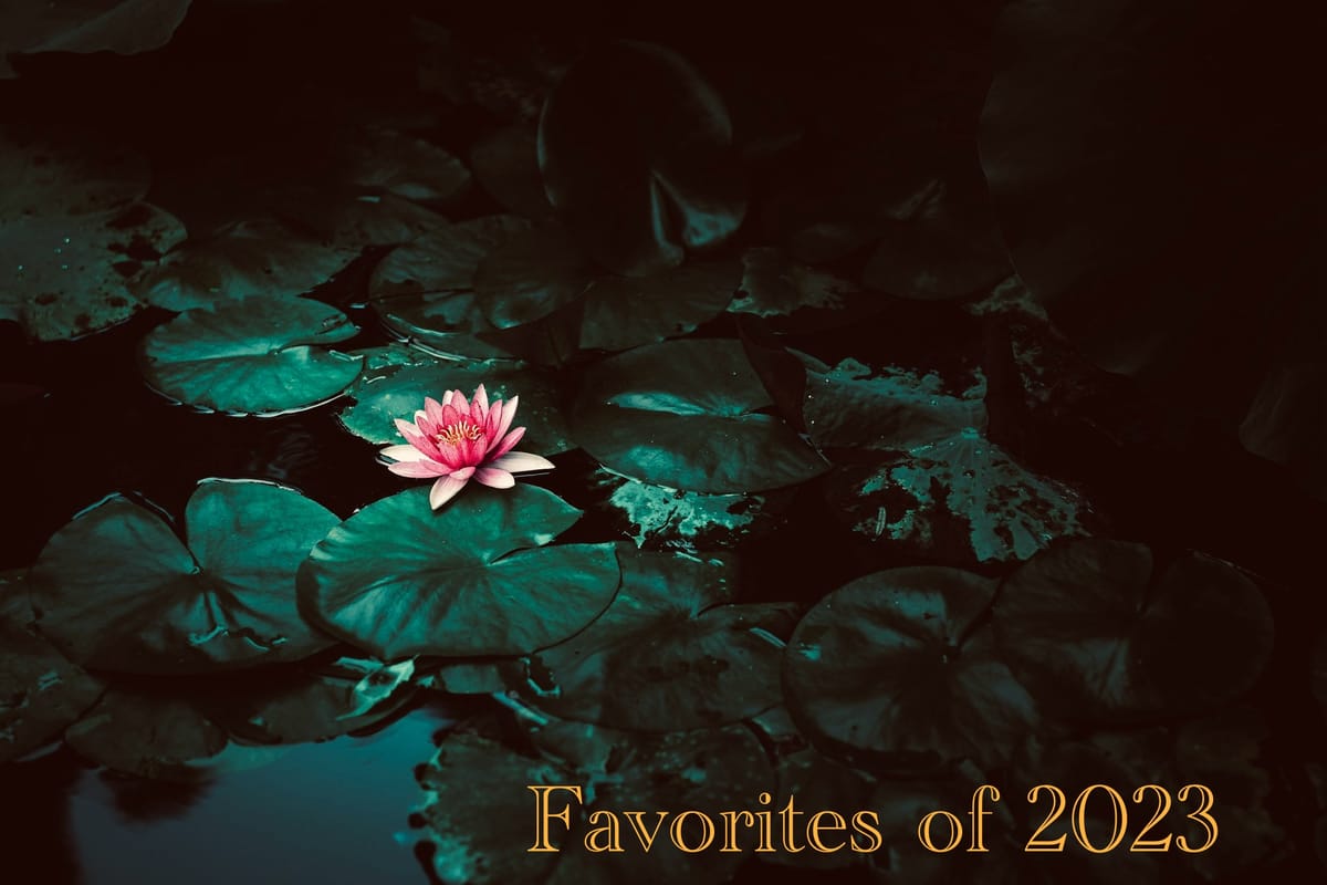 Favorites of 2023
