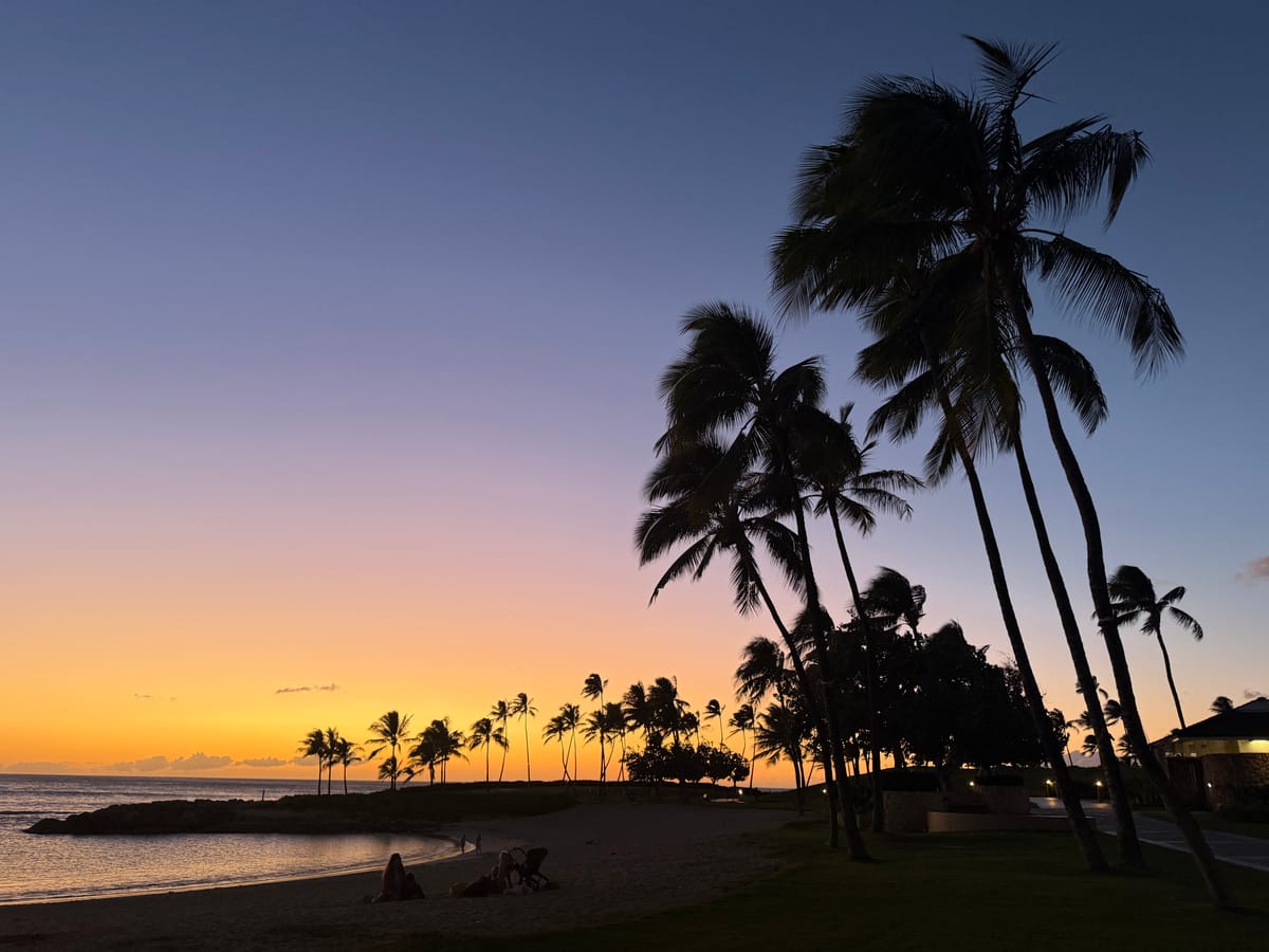 [Photo Album] 2025 Vistas